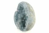 Crystal Filled Celestine (Celestite) Egg Geode - Madagascar #241899-1